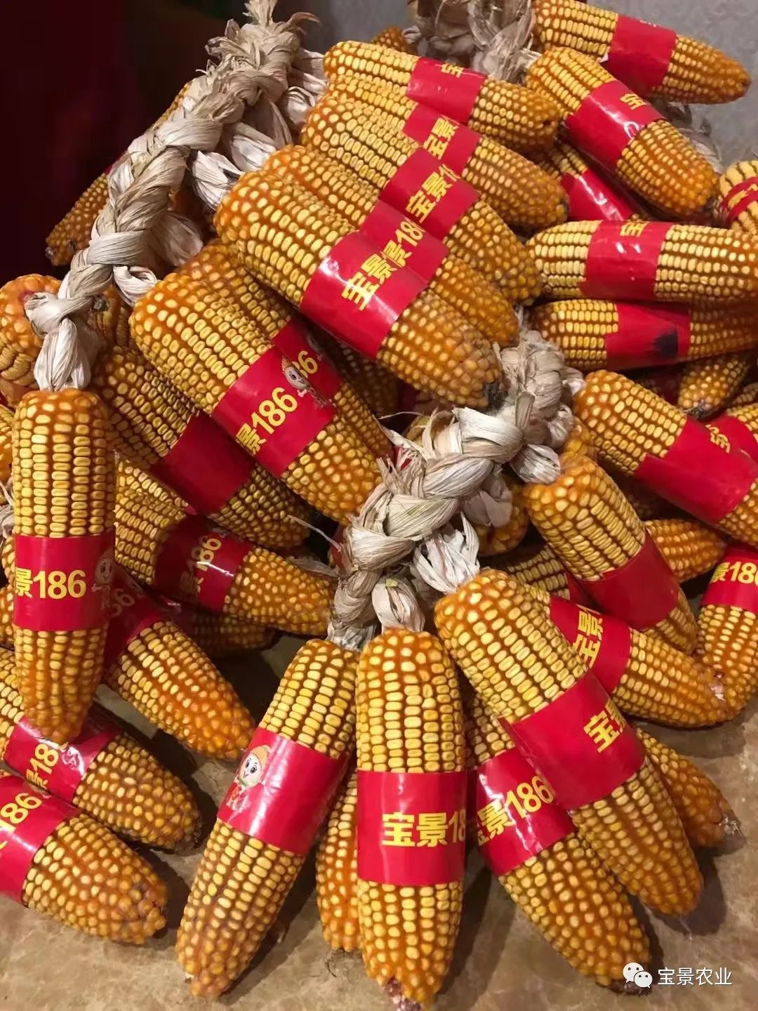 1648797364539172.jpg 14.jpg